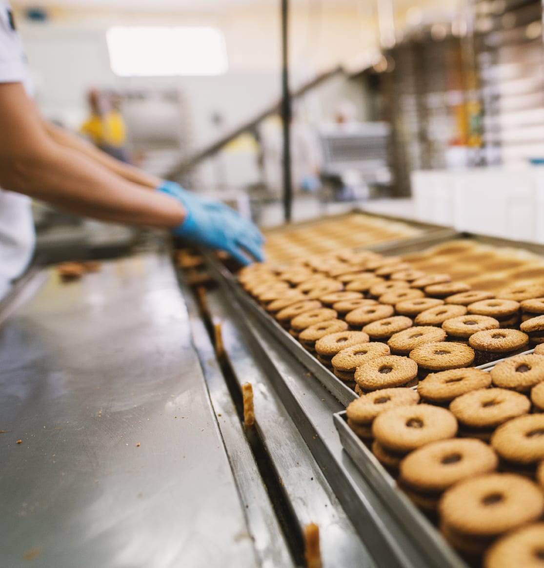 Ring doughnuts moving along a bakery production conveyor