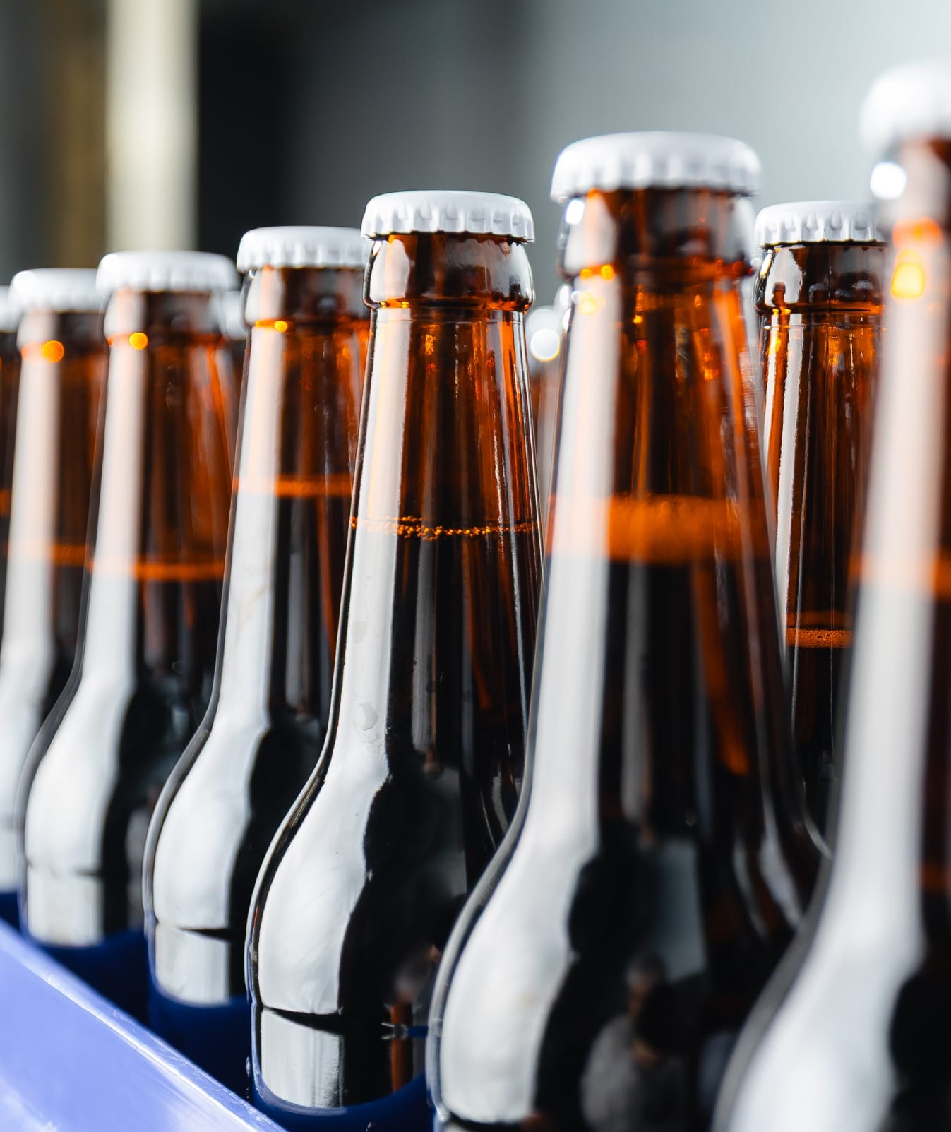 Capped brown glass bottles in a crate on a drinks production line