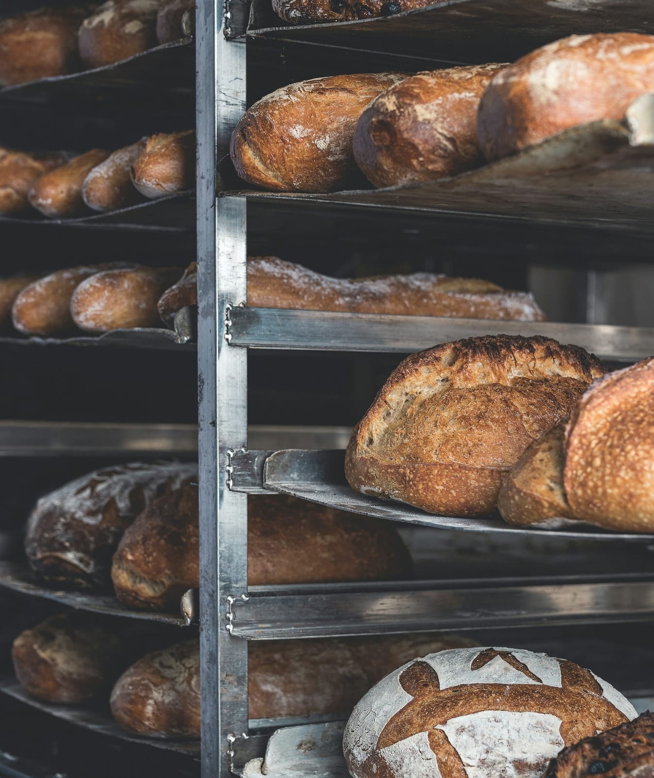 Freshly baked sourdough loaves cooling on a bakery rack